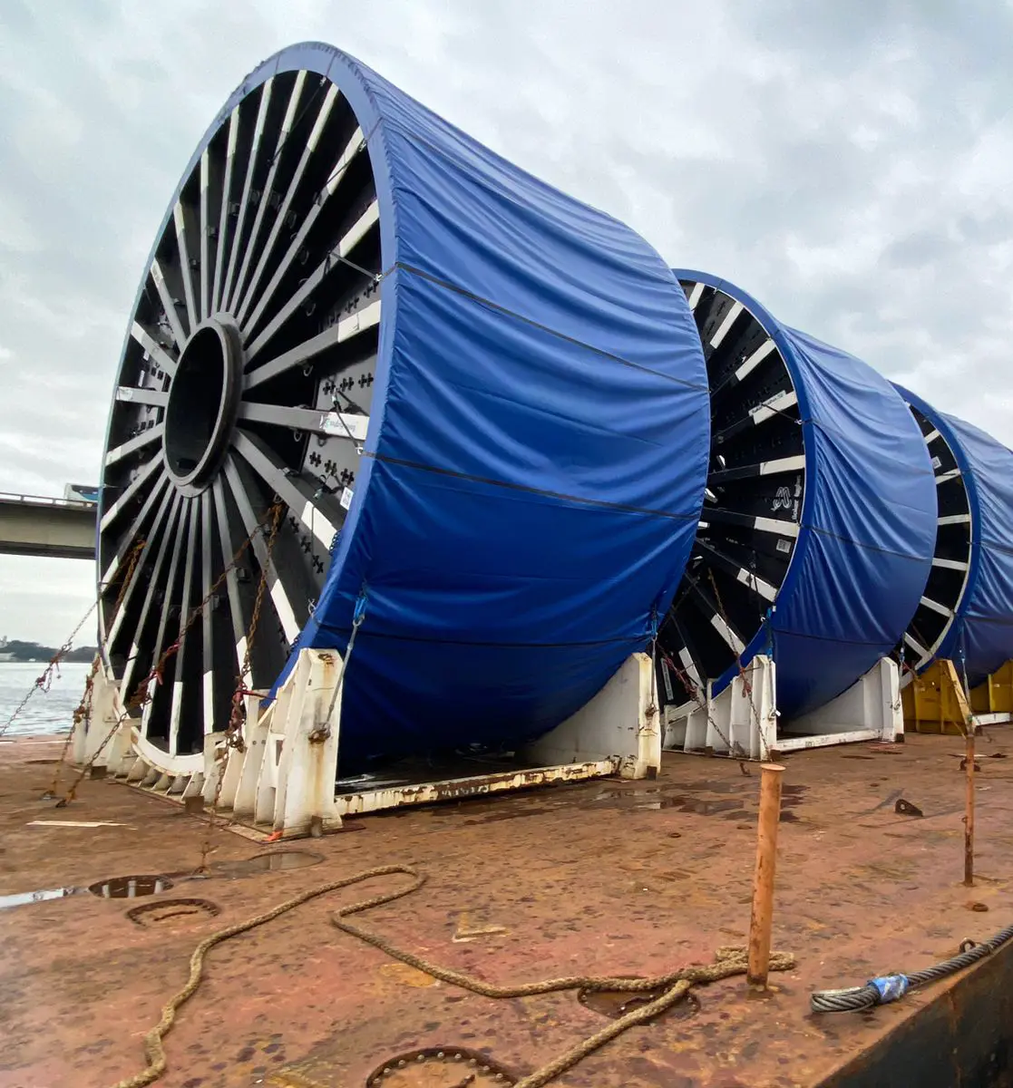 Offshore Oilfield Development Project Brazil